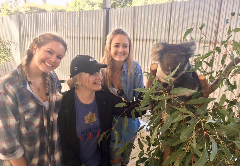 students posing with a koala bear