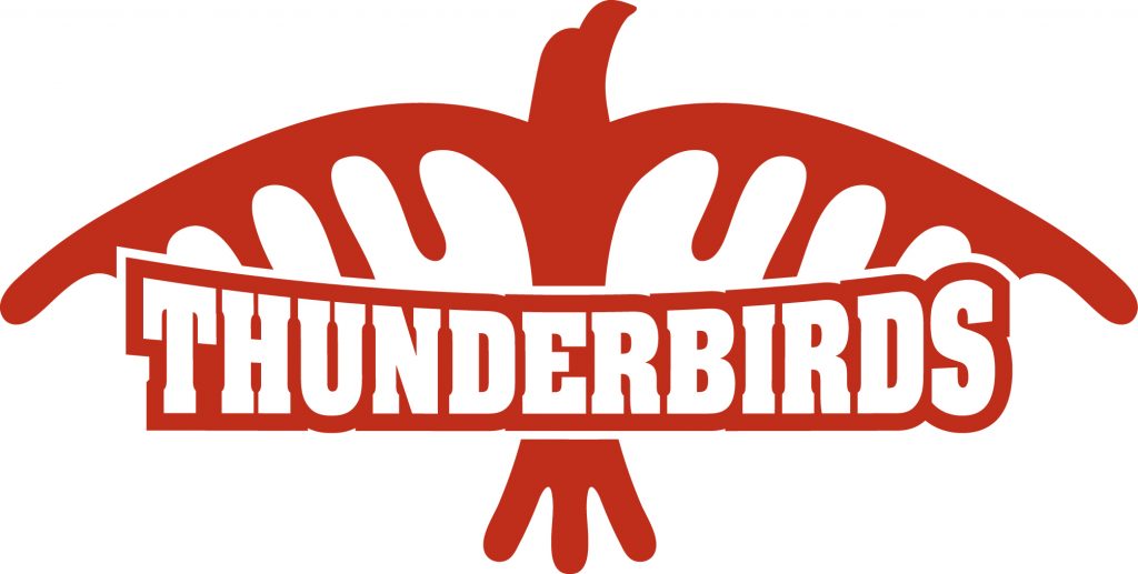 thunderbirds logo