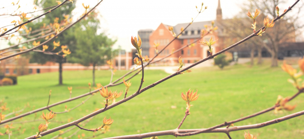 Our Sault Ste. Marie campus is now smoke free 3