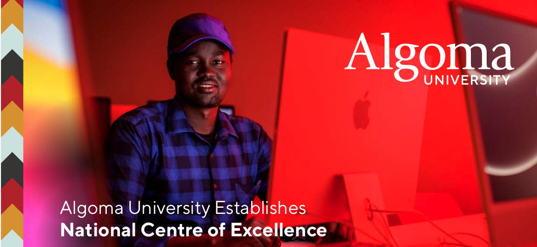 National Centre Of Excellence Header