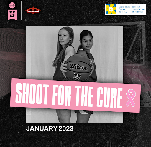 Shoot for the Cure image