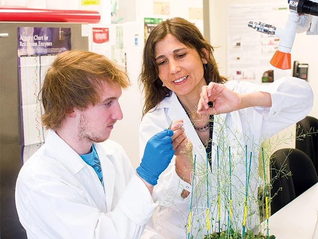Student and professor studying a plant