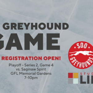 Greyhound game poster