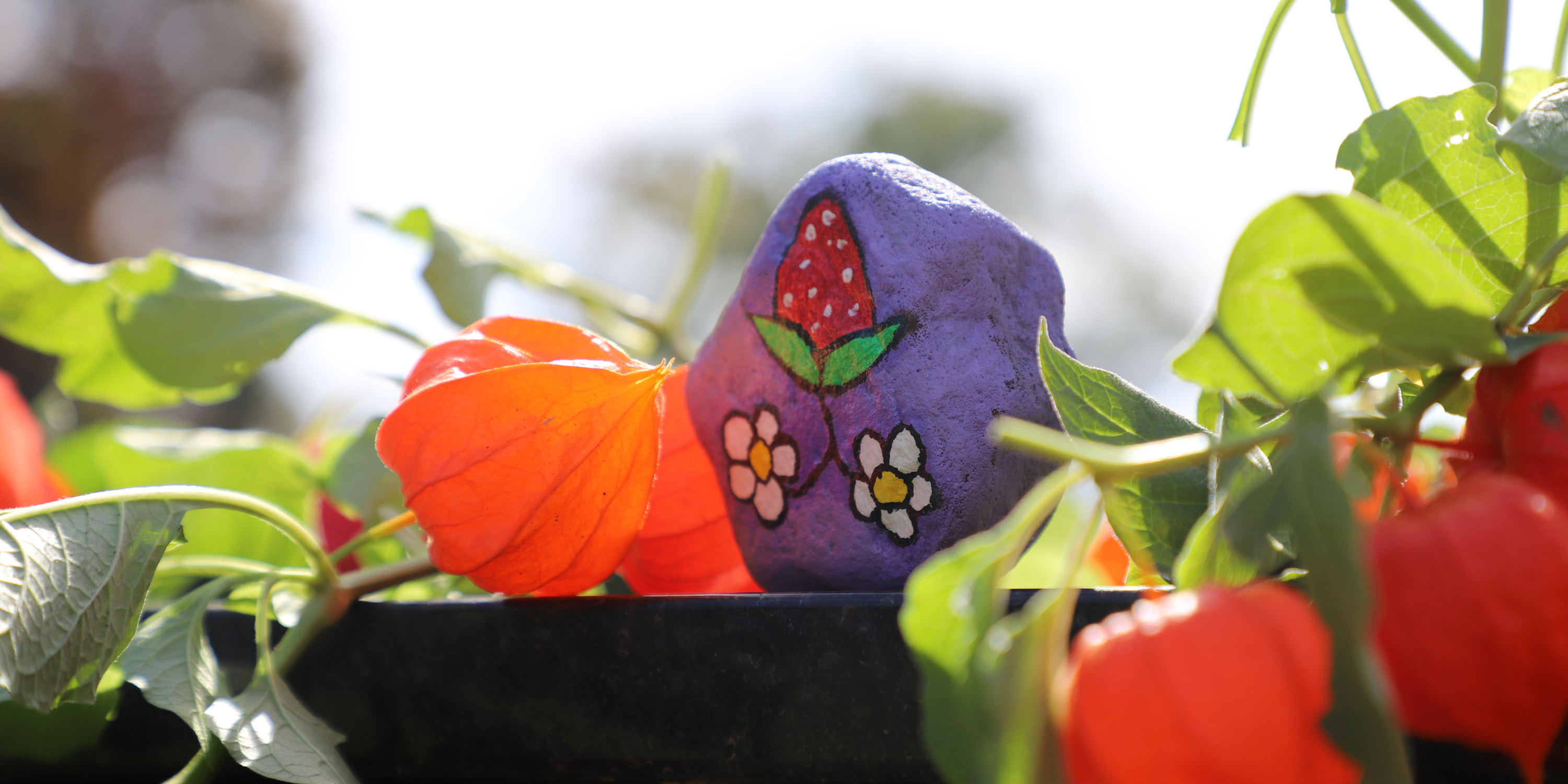 strawberry painted on rock surrounded by orange flowers