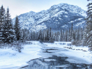 Winter-readiness-guide