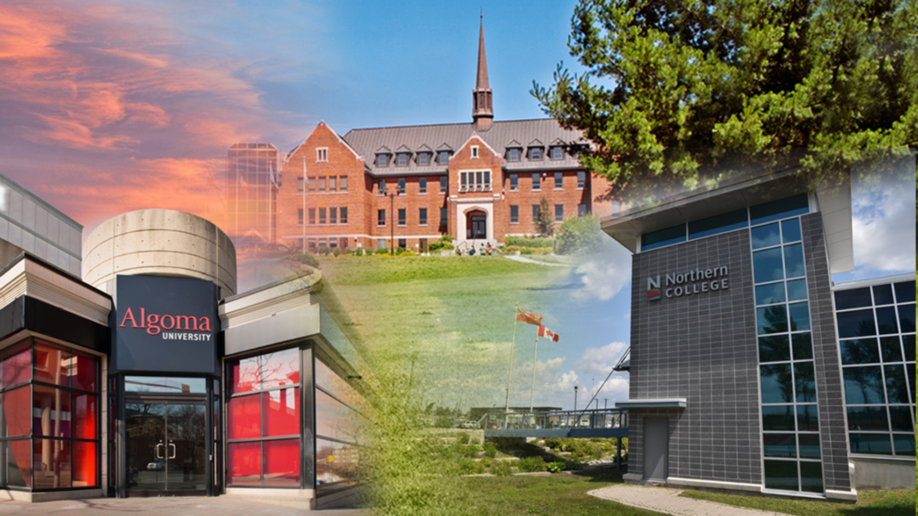 Website Header Tri Campus Collage