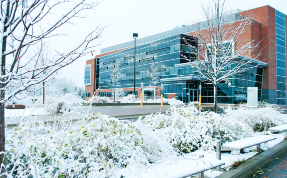 Website Header: SSM ECC Winter